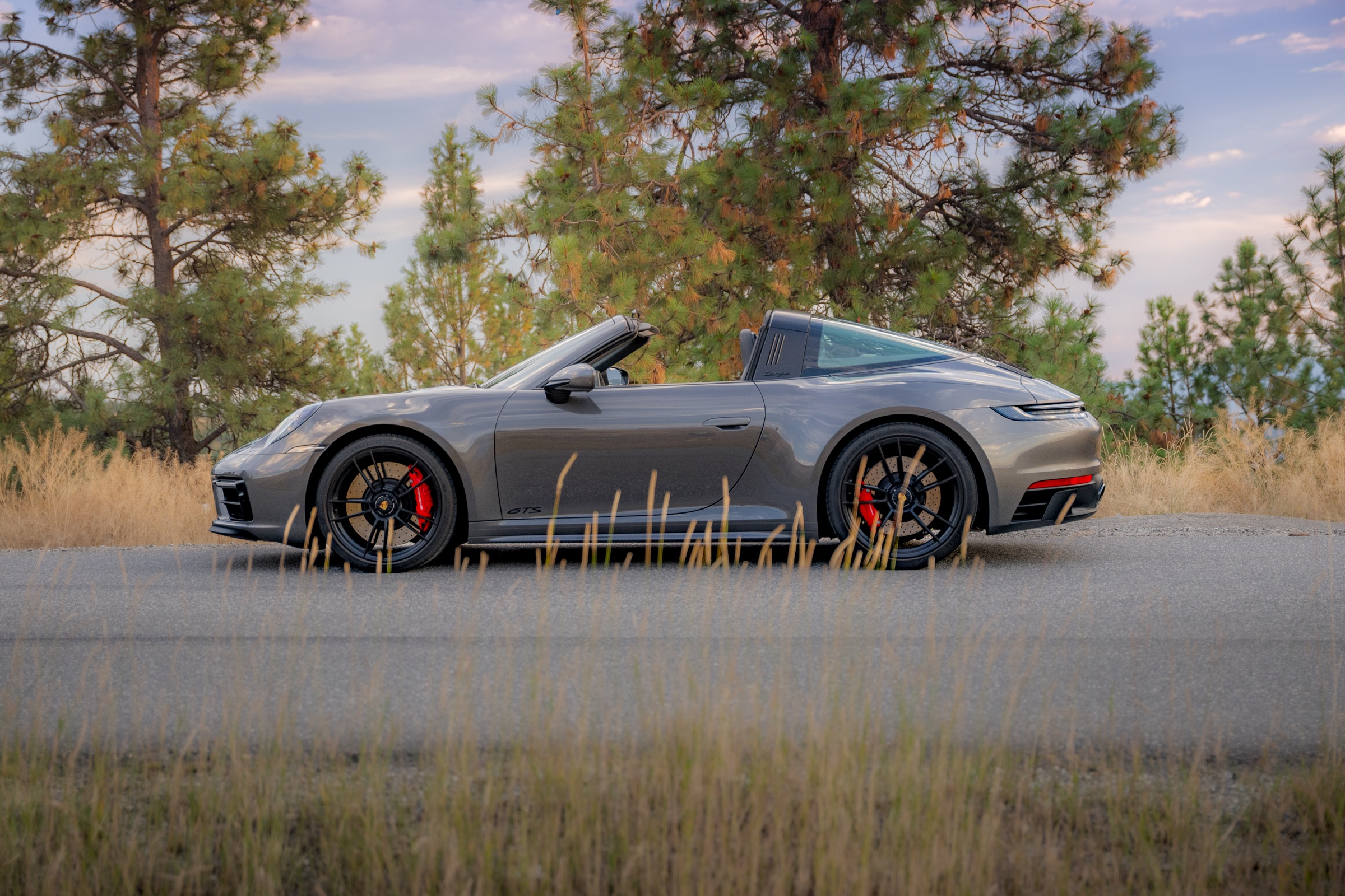 Porsche 911 Targa 4 GTS side profile among dry grass and pine trees